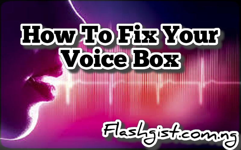 How To Fix Your Voice Box